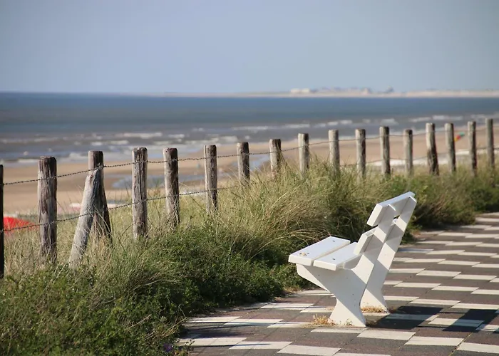 Apartman 55, Near The