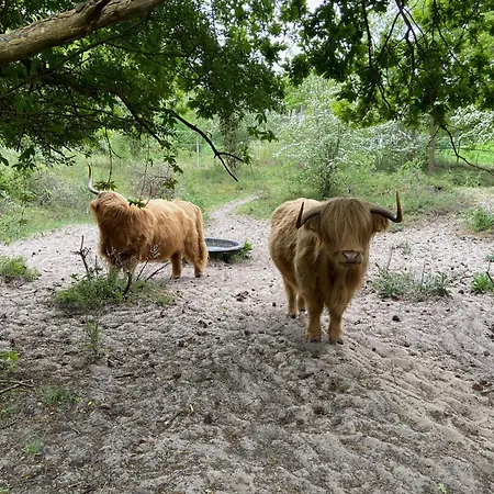 Suite 55, Near The Beach Apartment Zandvoort